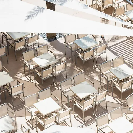 비스타 파크 캔 피카폴트